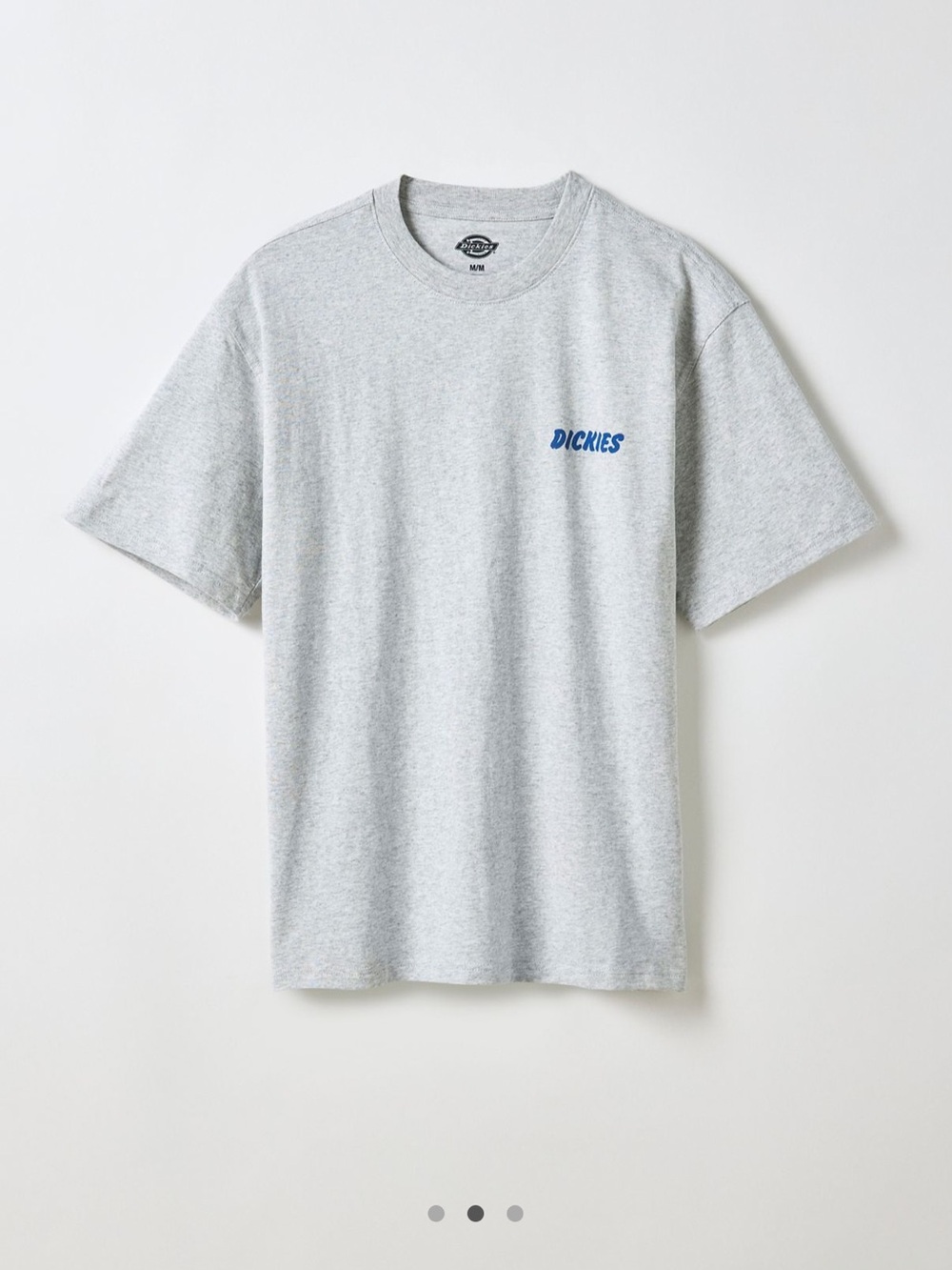 Dickies Dry Ridge Graphic Tee
